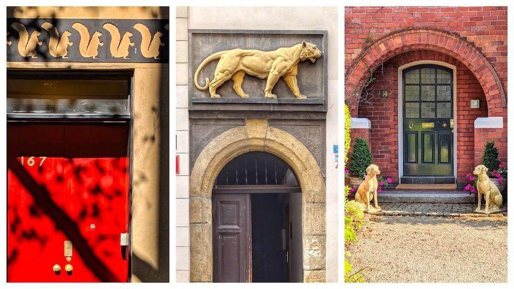 A three-panel vertical collage titled "Animals on Doors," showcasing unique wildlife-themed architectural details from around the world.

The left panel features a bright red door numbered 167 under the dappled shade of a tree. Above the door is a decorative horizontal frieze with a repeating pattern of golden squirrels.

The center panel shows a stone arched entryway with a dark wooden door. Mounted directly above the arch is a large, realistic stone relief of a muscular lioness or panther in a walking pose.

The right panel depicts a classic arched red brick doorway with a black paneled door. A pair of golden-colored dog statues—likely Labradors or Golden Retrievers—sit as sentinels on either side of the stone stoop, framed by small evergreen trees and pink flowers.