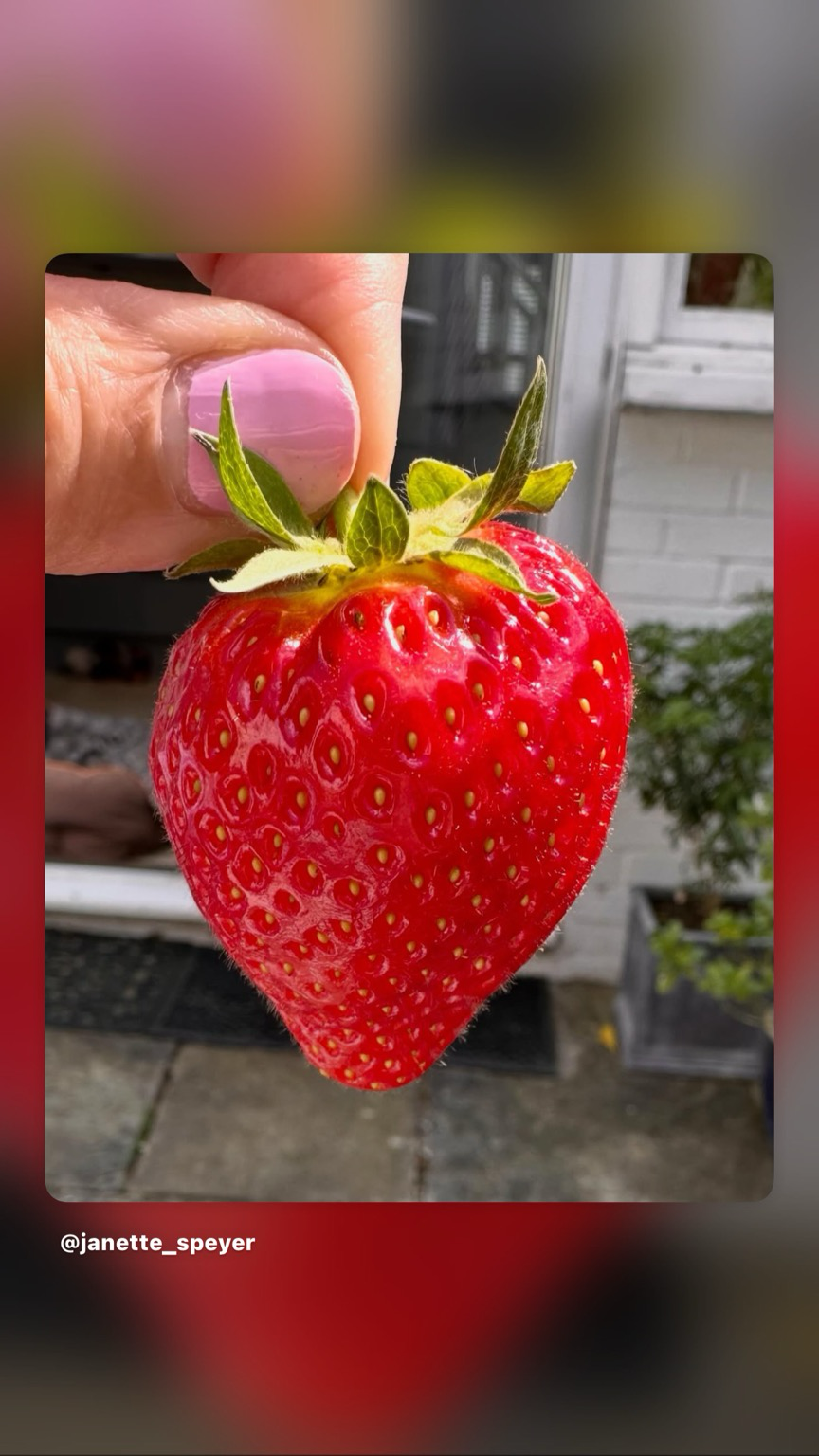 A strawberry